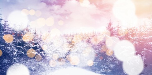 Snow covered trees on during winter