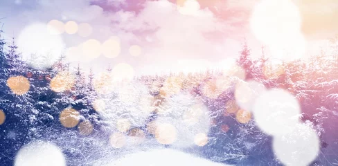 Vitrage gordijnen Snow covered trees on during winter © vectorfusionart