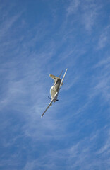 flying in the sky