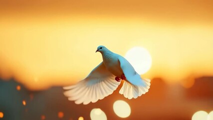 White dove bird flying gracefully with wings spread wide against warm golden sunset sky, peaceful atmosphere, glowing light, blurred background, symbolizing hope and freedom, serene uplifting mood - Powered by Adobe