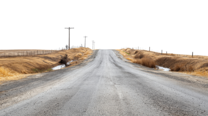 A deserted rural road leading to the horizon under a clear sky.