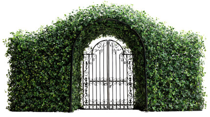 Fototapeta premium Archway covered in lush green ivy with a wrought iron gate, white isolated background.