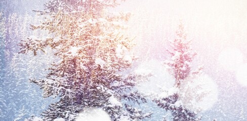 Snow covered trees on during winter