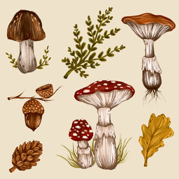 Illustration of an autumn forest set