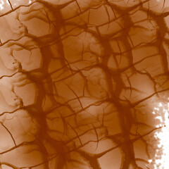 Antique, rough brown grunge texture with subtle circles and faded floral patterns, perfect for...