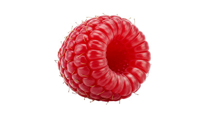 Luscious Red Raspberry: A Close-Up Macro Photograph of a Single, Ripe Berry