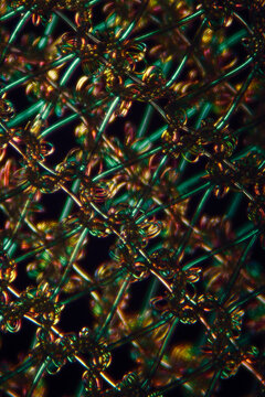 micrograph of stockings spandex fabric