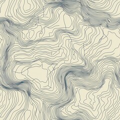 Elegant Topographic Map Seamless Pattern for Unique Backgrounds