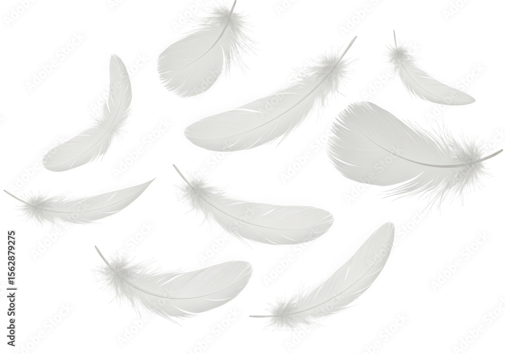 Aufkleber several soft white feathers gently float in the air, isolated on transparent background