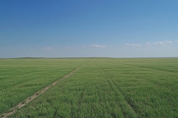 Fototapeta premium Aerial view of a rural field with a dirt track, clear blue sky, and horizon
