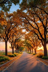 Naklejka premium Autumnal tree-lined avenue at sunrise