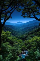 Obraz premium Lush valley framed by trees at dawn