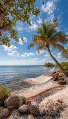 Beach hammock under palm trees
