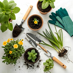 herbs and spices on a wooden table