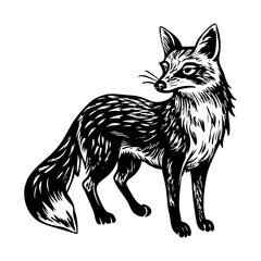 A vintage style illustration showing forest fox