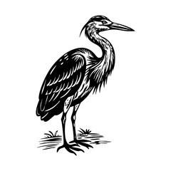 A vintage style illustration showing heron