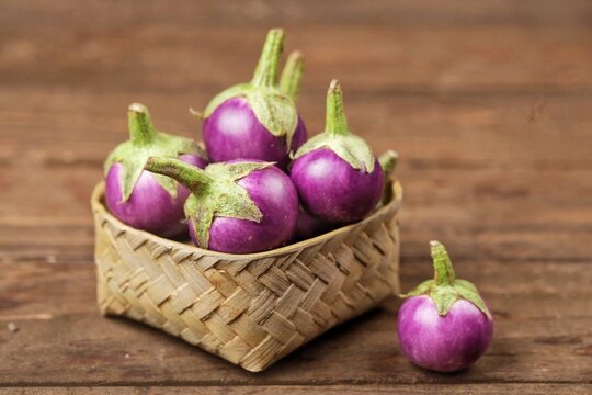 Terong Gelatik atau terong lalap atau terong Thailand. Wren eggplant has the physical characteristics of being small and round like a ping pong ball.