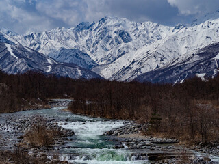 Fototapeta premium 青空と雪の北アルプス 長野県白馬村