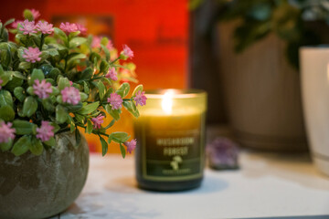 Odesa, Ukraine - July 30, 2024: Green scented candle with warm glow beside decorative plant in cozy...