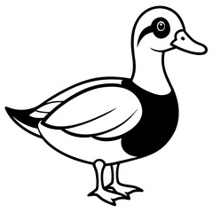Wood Duck Silhouette Outline Vector