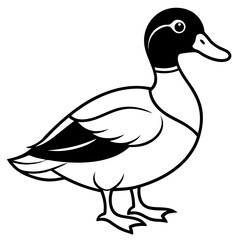 Obraz premium Wood Duck Silhouette Outline Vector
