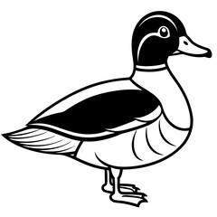 Wood Duck Silhouette Outline Vector