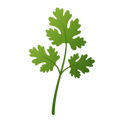 Cilantro Leaf Illustration on Black Background png, isolated on transparent background