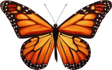 Butterfly vector illustration