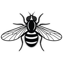 bee vector illustration