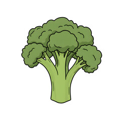 Broccoli Illustration on Black Background png, isolated on transparent background