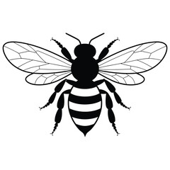 bee vector illustration