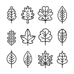 Leaves, different designs. Graphic resource for nature, plants, autumn or eco