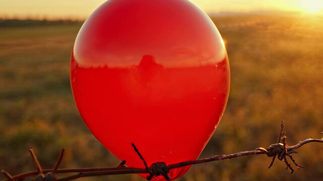 Red Balloon Amidst Thorns: A vibrant red balloon, symbolizes freedom and joy, is caught on a menacing barbed wire fence in a field at sunset, portraying a stark contrast between hope and restriction.