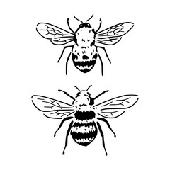set of bee outline clipart