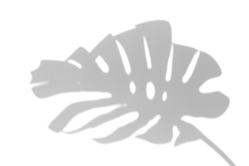 monstera shadow overlay effect,realistic sunmmer sunlight tropical leaves shadows isolated on transparent png background