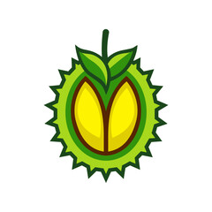 Flat vector design of durian fruit
