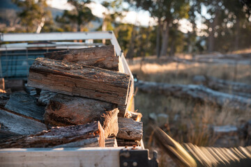 stacking firewood on the back of a ute sustainably sourced from the forest in australia