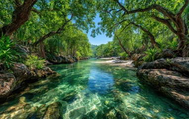 Gardinen Crystal-clear river flowing beneath lush trees © Irfan