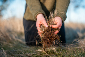 women in agriculture looking at a soil sample. girl on a farm looking at plant roots, female farmer...