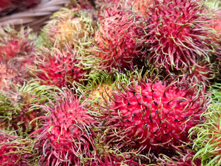 close-up of fresh rambutan fruits, showcasing their unique red and green spiky exteriors