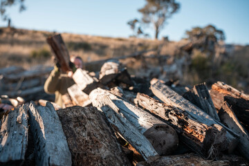 stacking firewood on the back of a ute sustainably sourced from the forest in australia