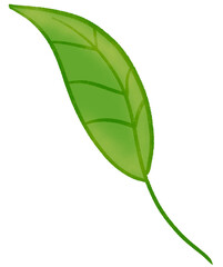 Cute icon about ornamental plants.	vector illustration.
