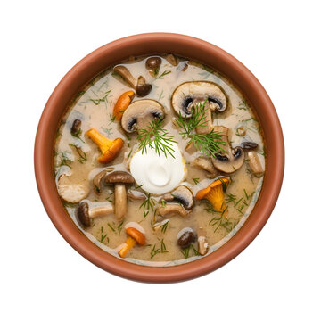 A Creamy Bowl of Polish Zupa Grzybowa a Traditional Wild Mushroom Soup with Dill on isolated transparent background