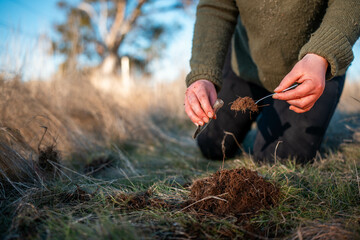 women in agriculture looking at a soil sample. girl on a farm looking at plant roots, female farmer...