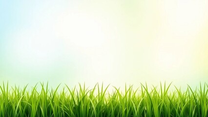 Fototapeta premium fresh green grass background