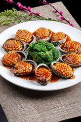 Seafood sashimi live abalone in rectangular white porcelain plate