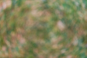 out of focus blurred green grass lawn background for design and texture use