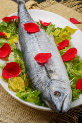 Fresh mackerel in a white oval porcelain plate