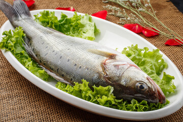 Fresh sea bass in a white oval porcelain plate