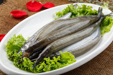 Fresh needle fish on white porcelain plate